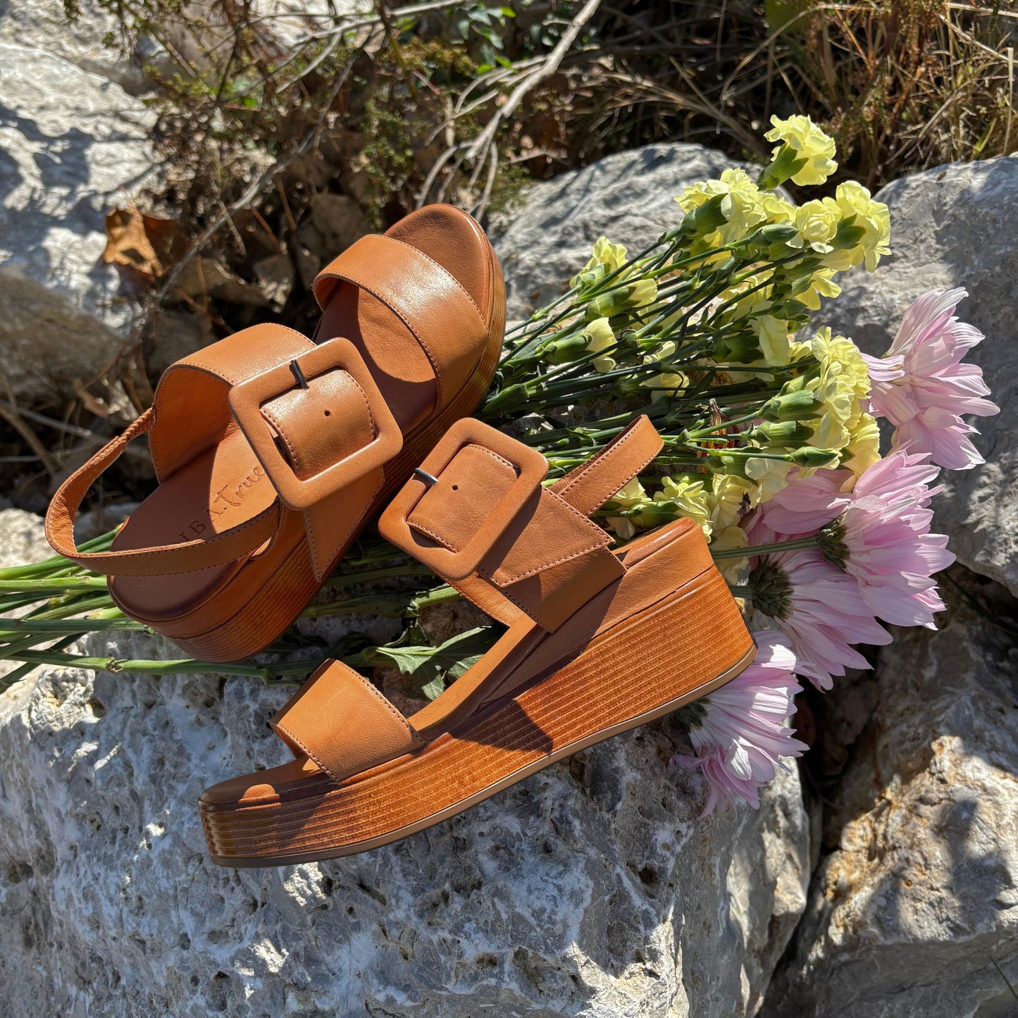 Seen It All