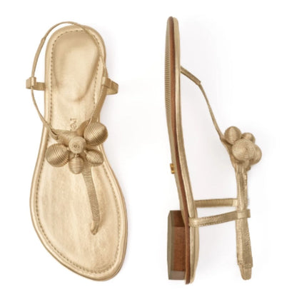 Silvia T-Strap Sandal