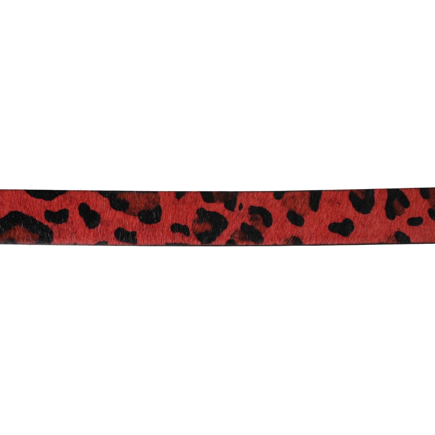 Diba True Women's Assorted Belts